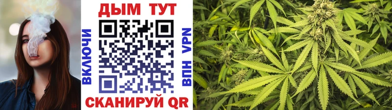 Где купить наркоту Бавлы Амфетамин  Меф  APVP  Конопля  Псилоцибиновые грибы  Кокаин 