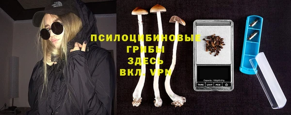 мяу мяу мука Аркадак